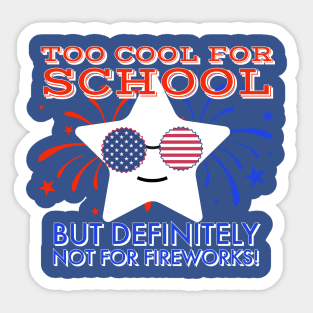 I'm too cool for school but definitely not for fireworks Sticker